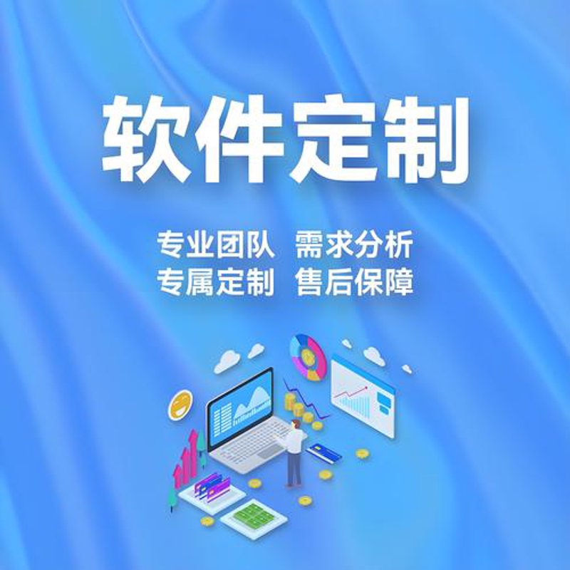 厦门软件开发行业全景洞察与展望